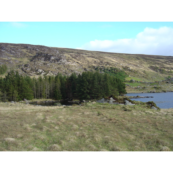 Photo Irlande Kerry Parc National de Killarney 2004-05 53