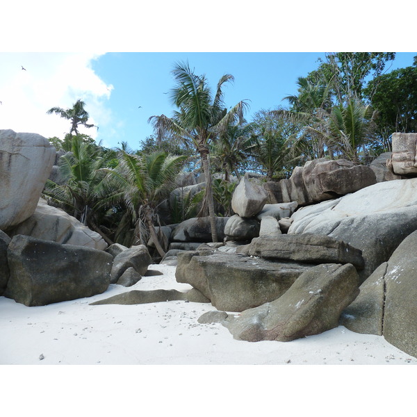 Photo Seychelles Ile Coco 2011-10 71