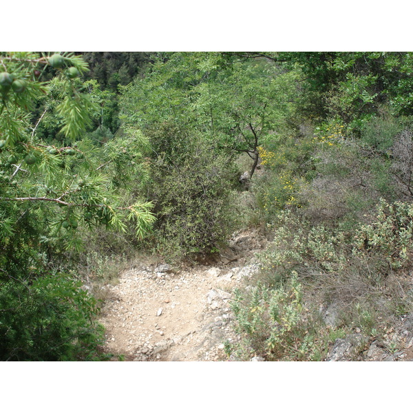 Photo France Vence Baou 2006-06 103