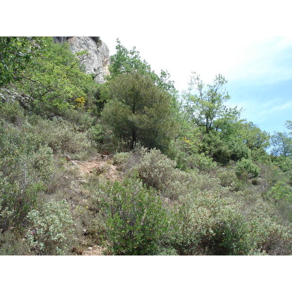 Photo France Vence Baou 2006-06 86