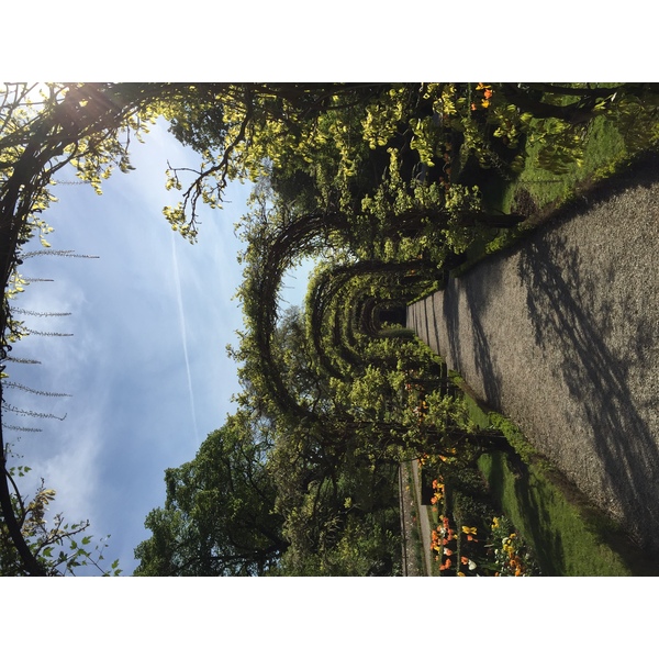 Photo France Paris Bagatelles 2017-04 12