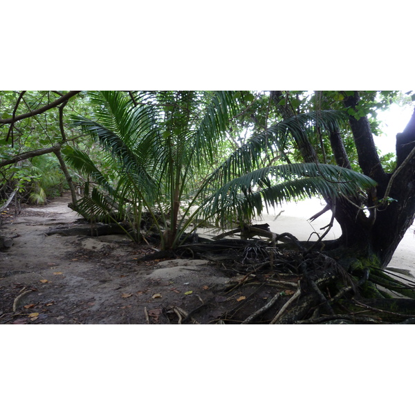 Photo Seychelles Curieuse 2011-10 12