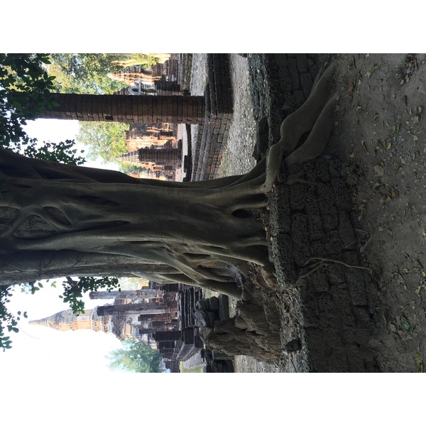 Photo Thaïlande Parc Si satchanalai 2014-12 124