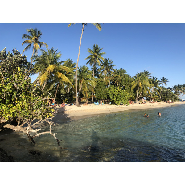 Photo Guadeloupe Plage de la Caravelle 2021-02 152