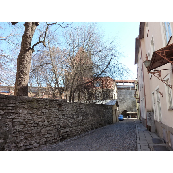Photo Estonie Tallinn 2009-04 99