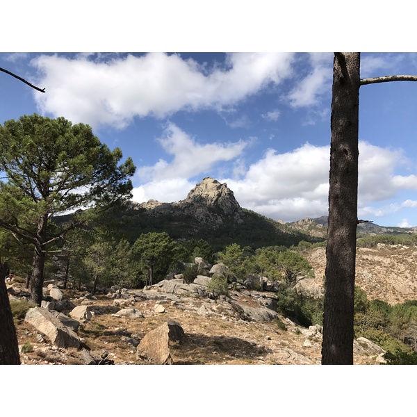 Photo France Corse Forêt de l'Ospedale 2017-09 3