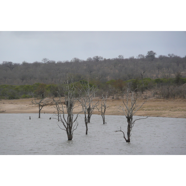 Photo Afrique du Sud Parc National Kruger Mpondo 2008-09 2