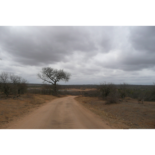 Photo Afrique du Sud Parc National Kruger Mpondo 2008-09 25