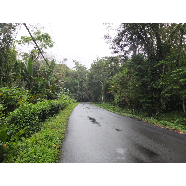 Photo Costa Rica Puerto Viejo de Talamanca 2015-03 24