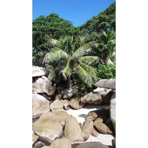 Photo Seychelles Ile Coco 2011-10 83