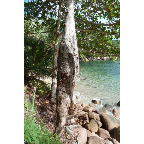 Photo Seychelles 2011-10 15