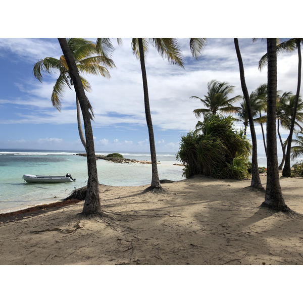 Photo Guadeloupe Plage de la Caravelle 2021-02 134