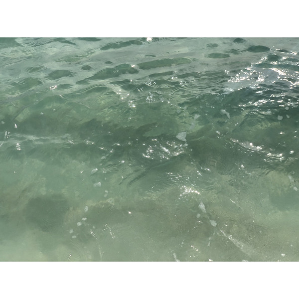 Photo Guadeloupe Plage de la Caravelle 2021-02 95