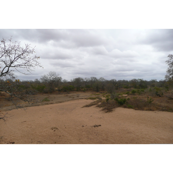 Photo Afrique du Sud Parc National Kruger 2008-09 157