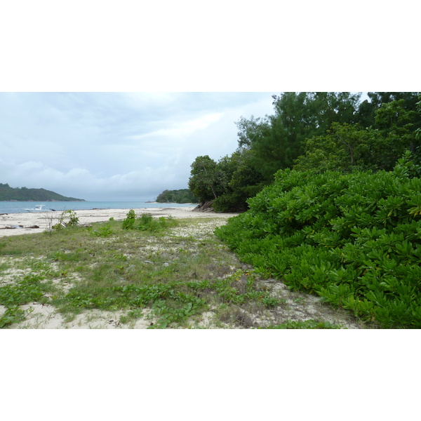 Photo Seychelles Curieuse 2011-10 7