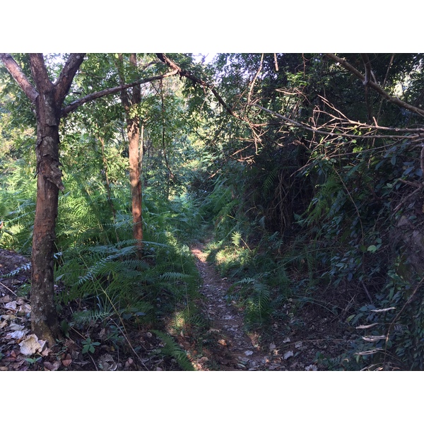 Photo Thaïlande Parc National Phu Hin Rong Kla 2014-12 163