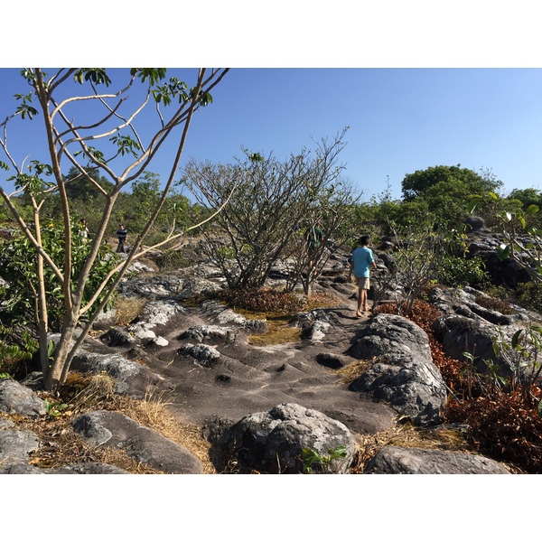 Photo Thaïlande Parc National Phu Hin Rong Kla 2014-12 254