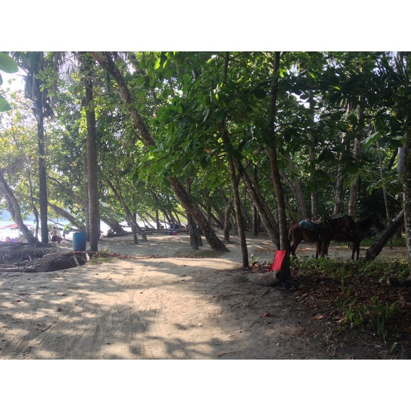 Photo Costa Rica Parc Manuel Antonio 2015-03 242