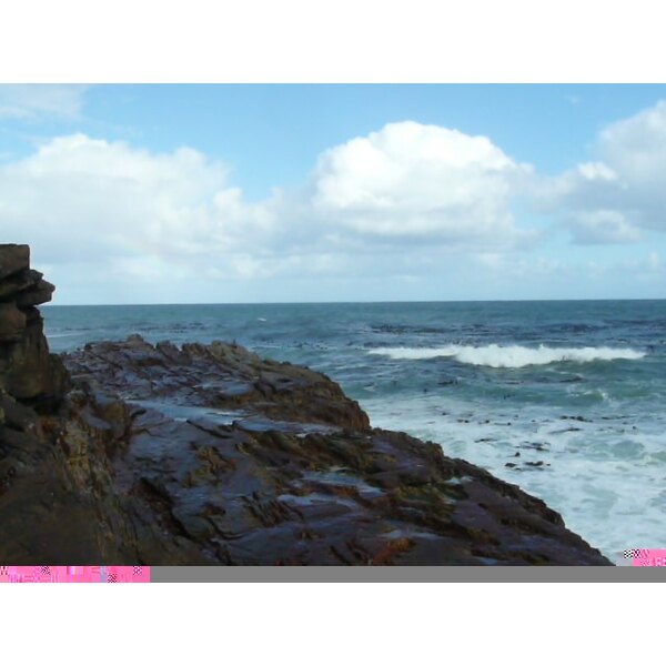 Photo Afrique du Sud Cap de Bonne Espérance pointe du cap de Bonne Espérance 2008-09 47