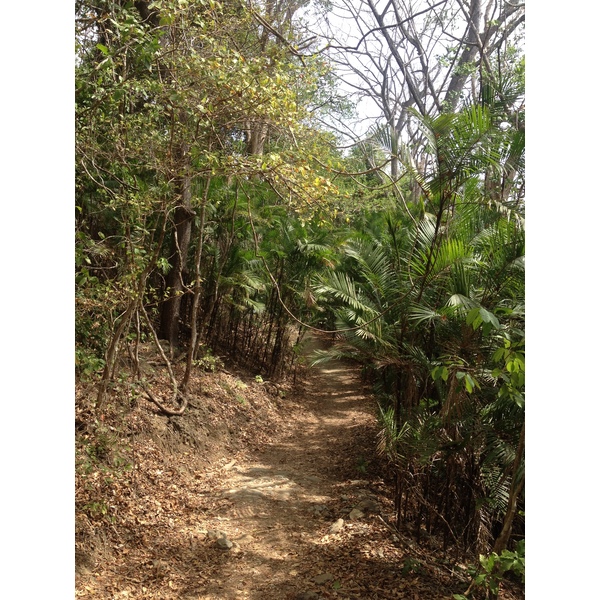 Photo Costa Rica Montezuma 2015-03 133