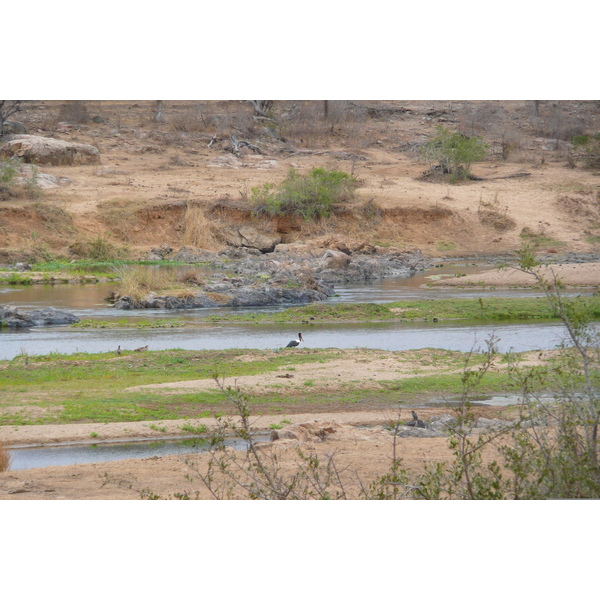Photo Afrique du Sud Parc National Kruger rivière Crocodile 2008-09 28