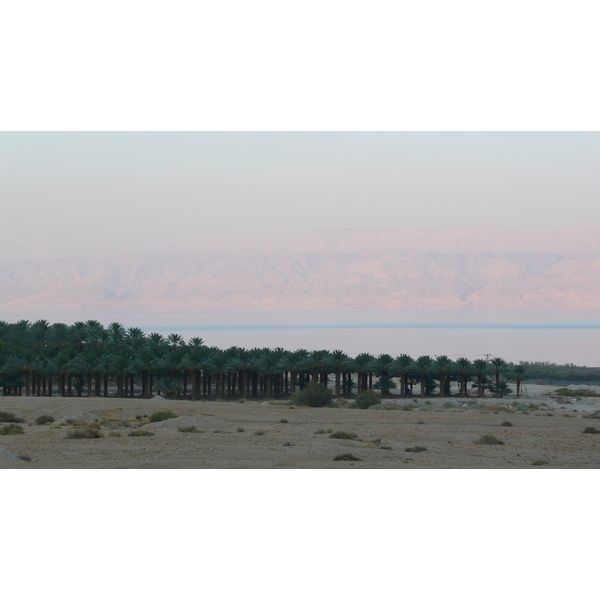 Photo Israel Mer Morte 2007-06 91
