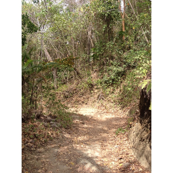 Photo Costa Rica Montezuma 2015-03 527
