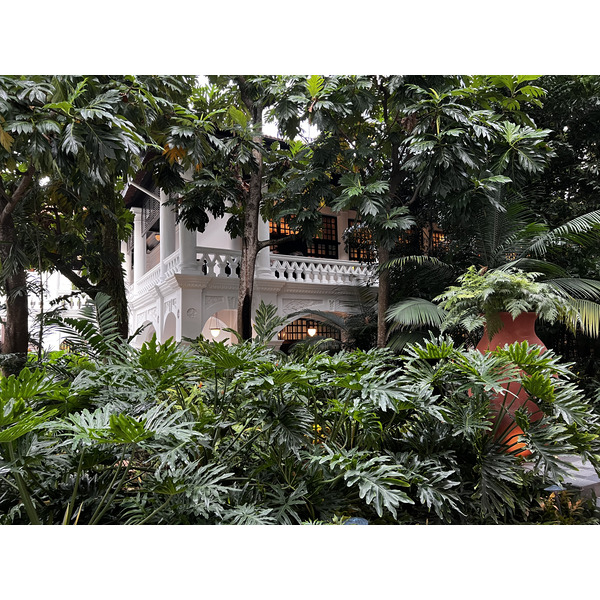 Photo Singapour Hotel Raffles Singapore 2023-01 10