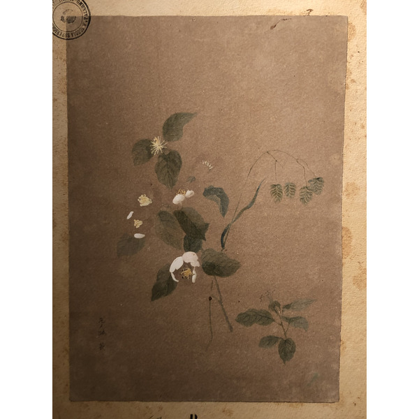 Photo Italie Sicile Palermo Palais des Normands 2020-02 159