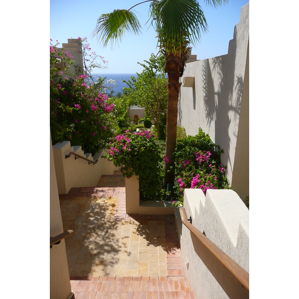 Photo Égypte Sharm el Sheikh Hotel Four Seasons 2008-06 60