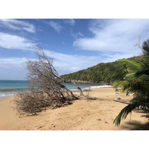 Photo Guadeloupe Plage de la Perle 2021-02 43