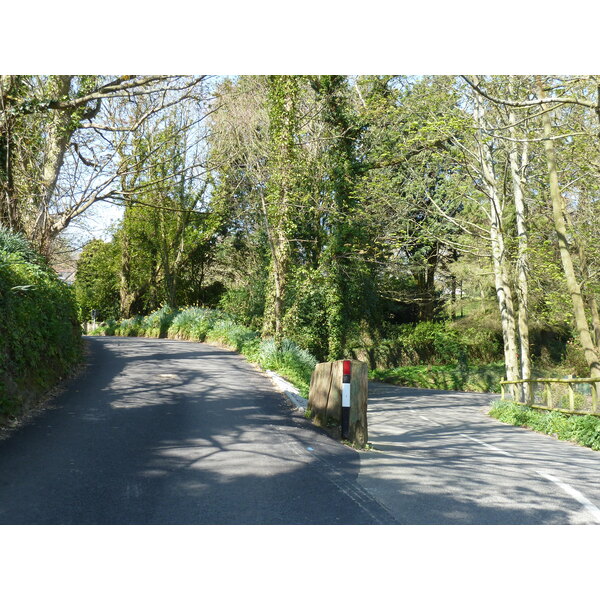 Photo Jersey 2010-04 4