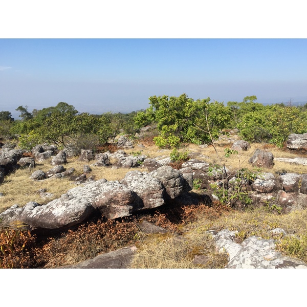 Photo Thaïlande Parc National Phu Hin Rong Kla 2014-12 213