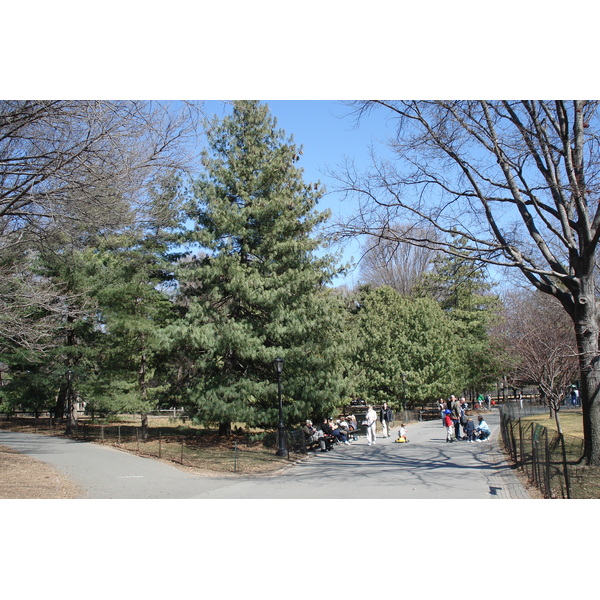 Photo États-Unis New York Central Park 2006-03 36