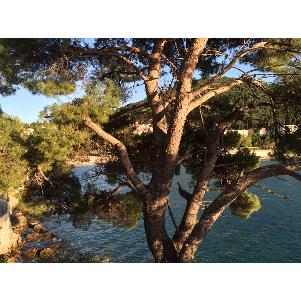 Photo Croatie Dubrovnik 2016-04 66