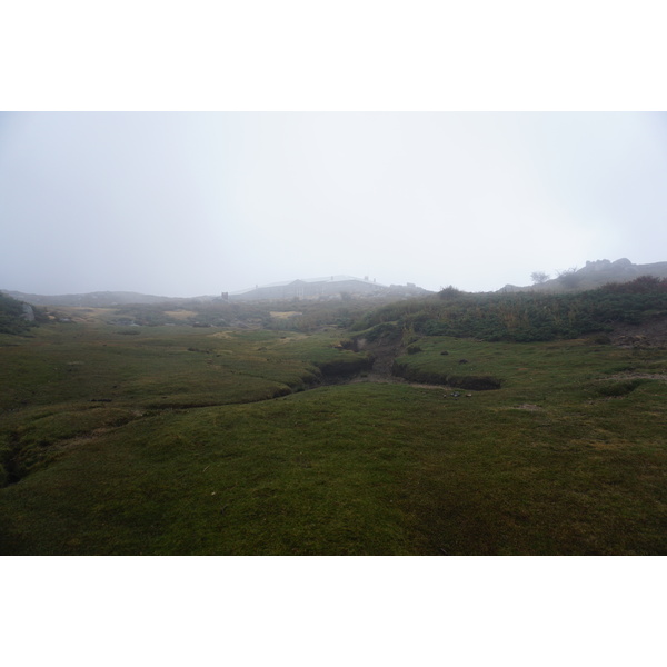Photo France Corse Alta Rocca 2017-09 35