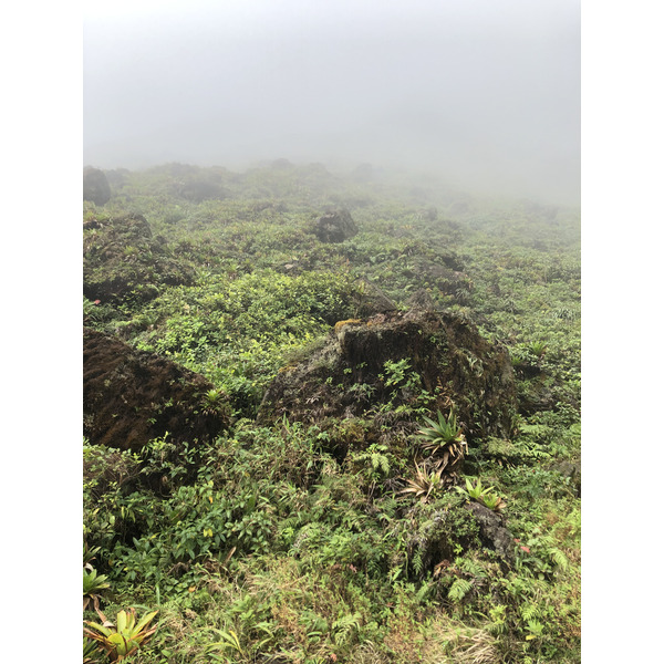 Photo Guadeloupe La Grande Soufrière 2021-02 47
