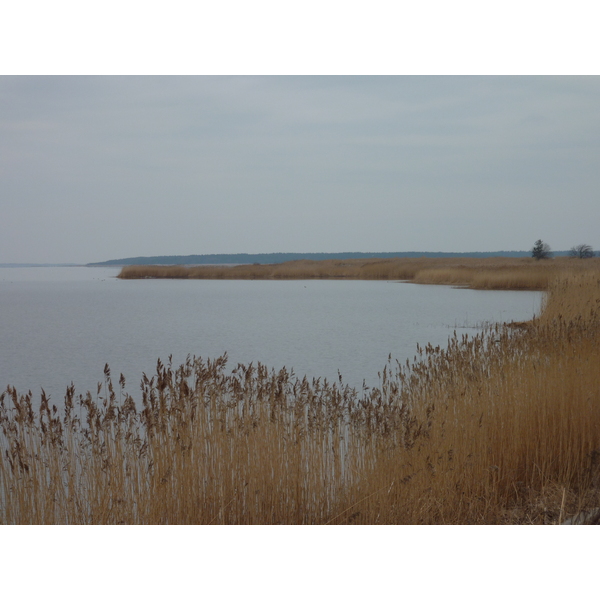Photo Estonie Haapsalu 2009-04 13