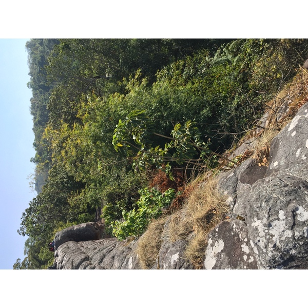 Photo Thaïlande Parc National Phu Hin Rong Kla 2014-12 69