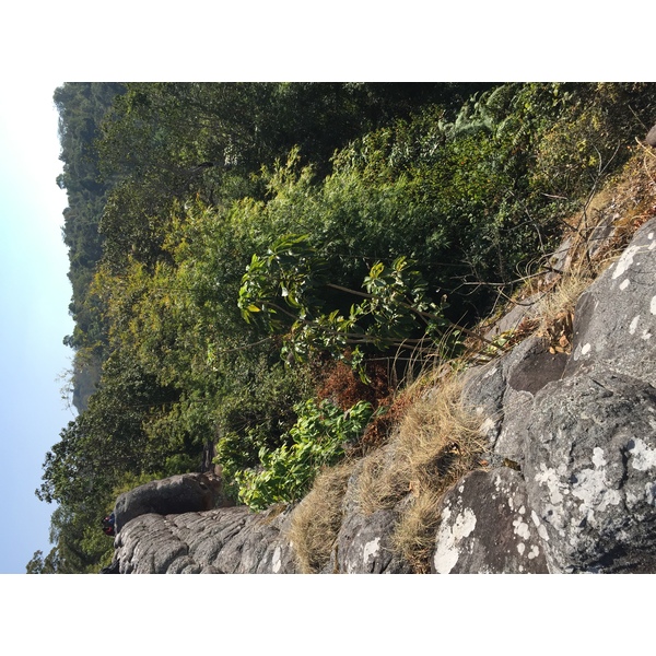 Photo Thaïlande Parc National Phu Hin Rong Kla 2014-12 74