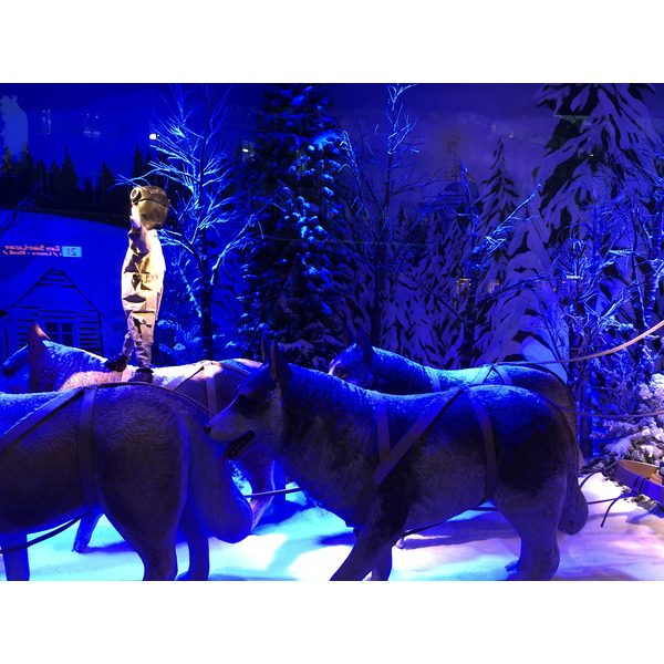 Photo France Paris Vitrines des Grands Magasins 2017-11 29
