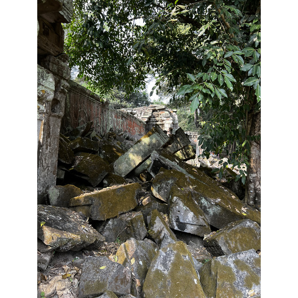 Photo Cambodge Siem Reap Ta Prohm 2023-01 147