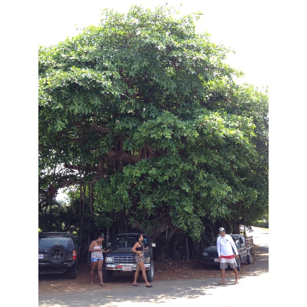 Photo Costa Rica Jaco 2015-03 18