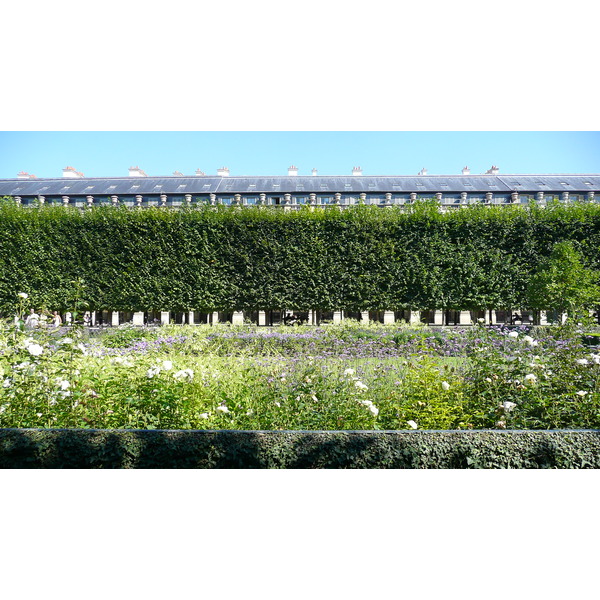 Photo France Paris Palais Royal 2007-08 26