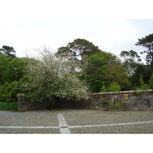 Photo Irlande Kerry Parc National de Killarney Muckross House 2004-05 43
