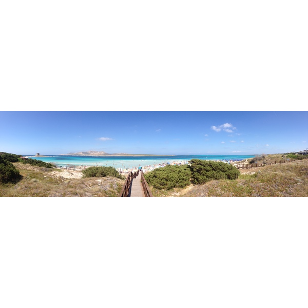 Photo Italie Sardaigne Capo del Falcone 2015-06 13