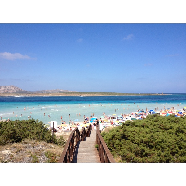 Photo Italie Sardaigne Capo del Falcone 2015-06 2