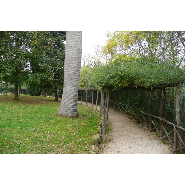 Photo Italie Rome Villa Sciarra 2007-11 41