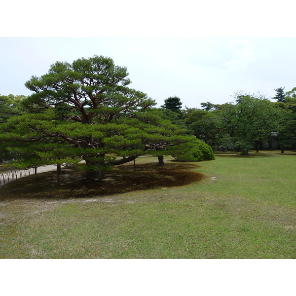 Photo Japon Kyoto Château Nijo 2010-06 64