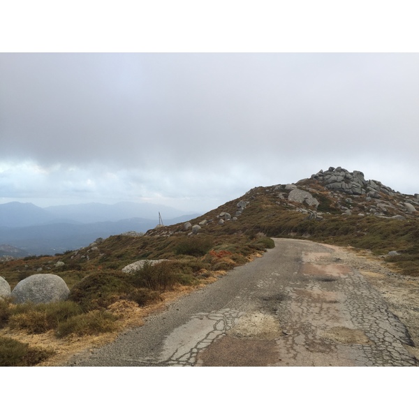 Photo France Corse Alta Rocca 2017-09 28